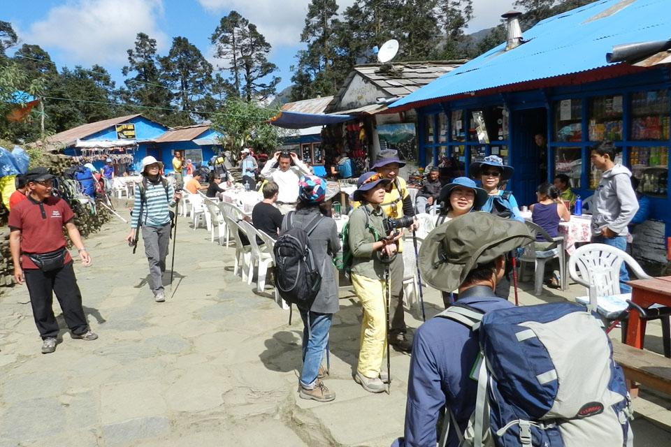 Ghorepani Poon Hill Trek: What You Need to Know