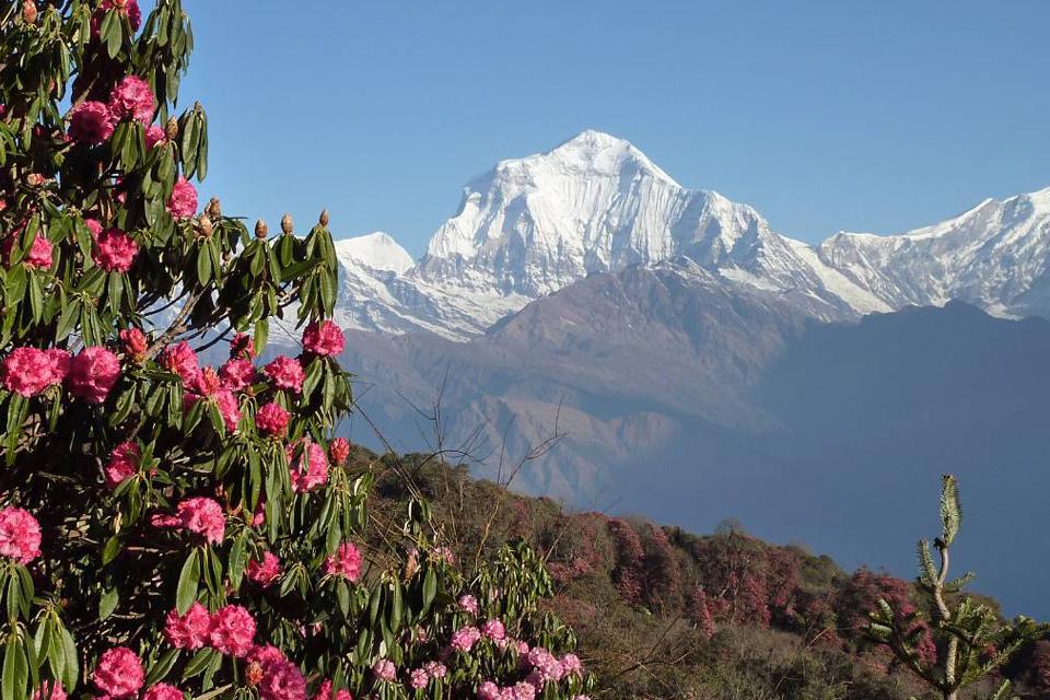 Nepal Culture and Scenic tour