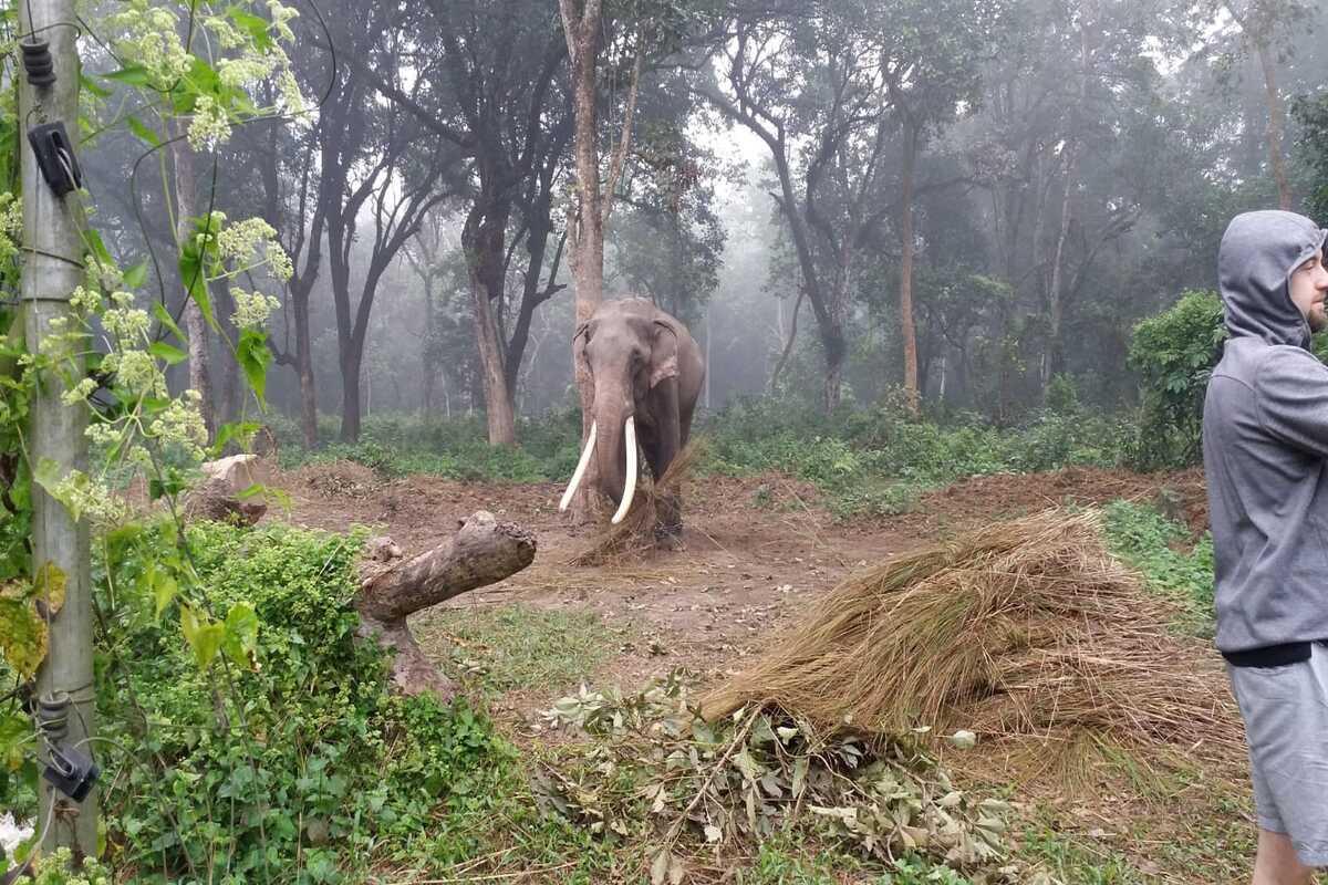 Chitwan Safari