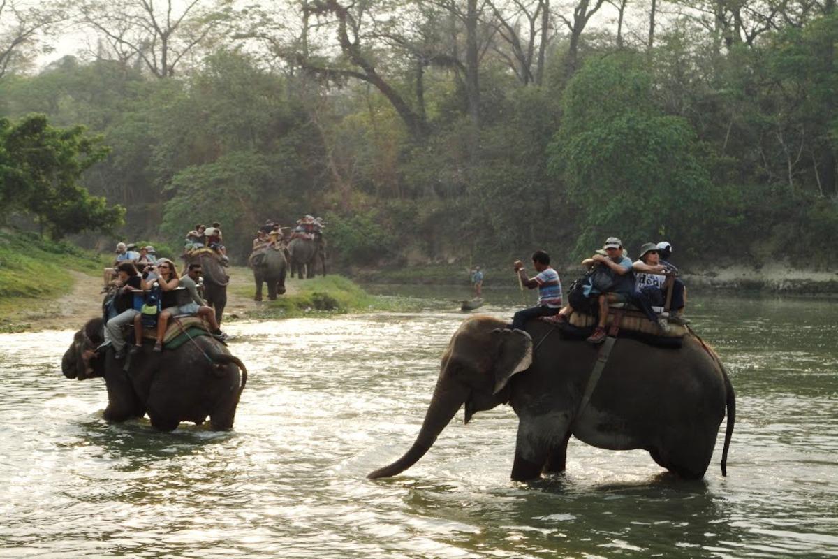 Elephant safari Chitwan