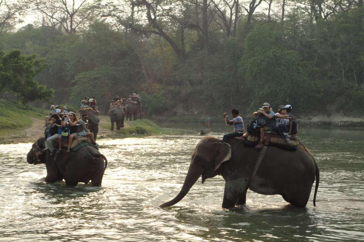 Elephant safari in Chitwan
