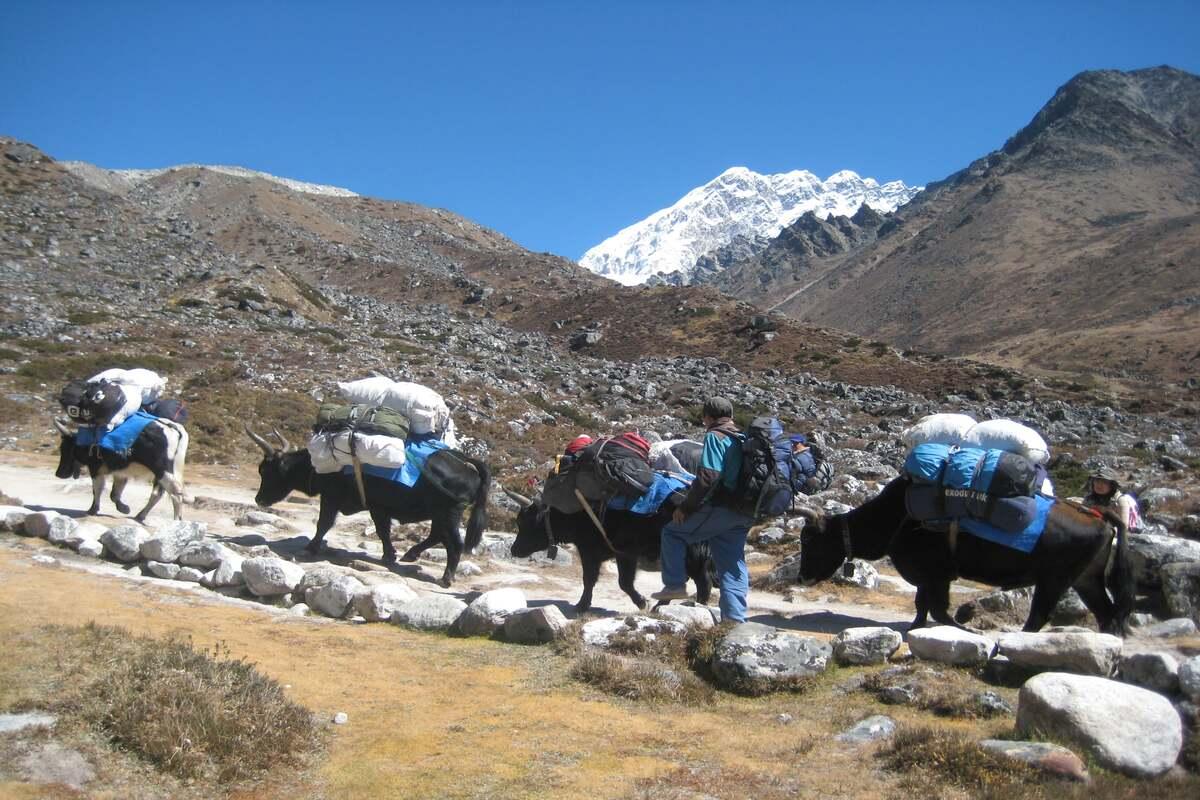 Everest trails