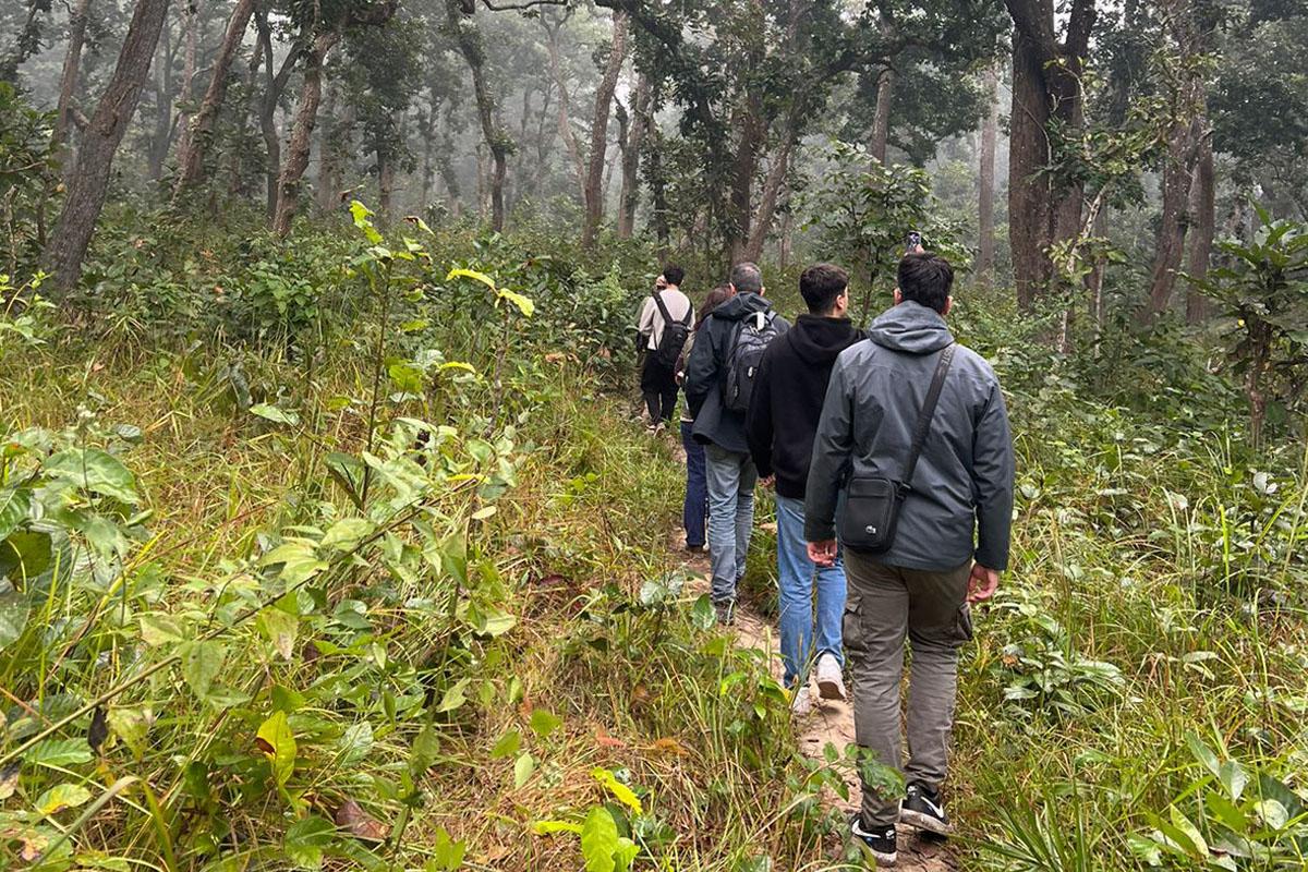 Jungle walk Chitwan