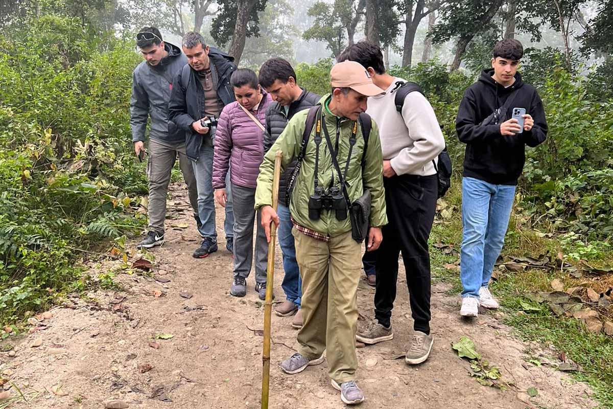 Jungle Walk Chitwan