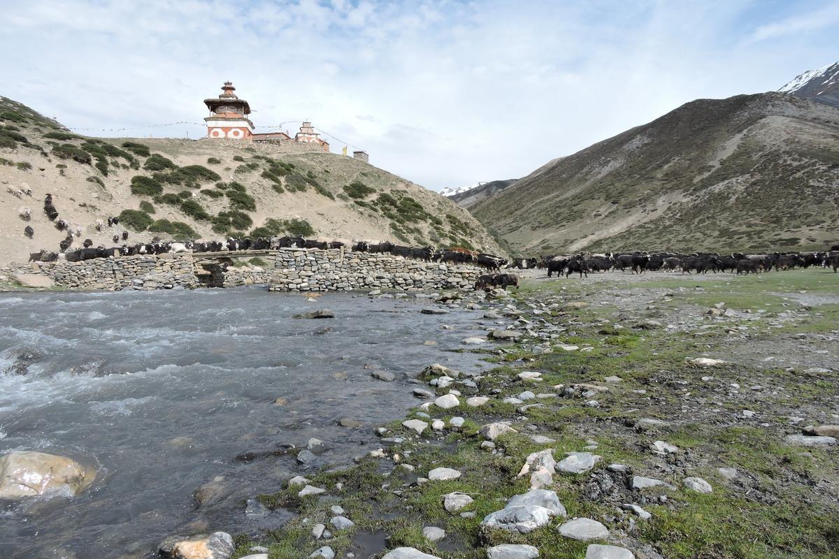 Lower Dolpo Nepal