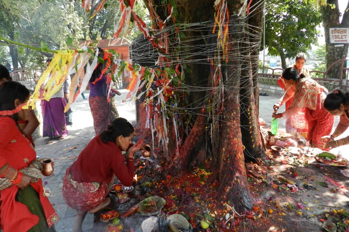 Pokhara tour